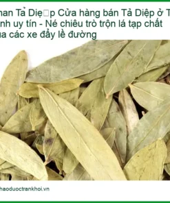 Cửa hàng bán Phan Tả Diệp ở Tân Bình uy tín - Đơn vị Cung cấp Có sẵn