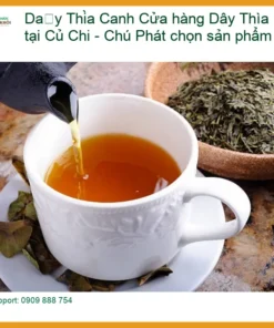 Cửa hàng Dây Thìa Canh uy tín tại Củ Chi - Chú Phát chọn sản phẩm sạch