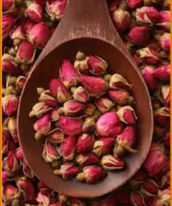 Nụ Hoa Hồng sạch tại Củ Chi - Chú Phát - Địa chỉ Cung cấp Giao nhanh
