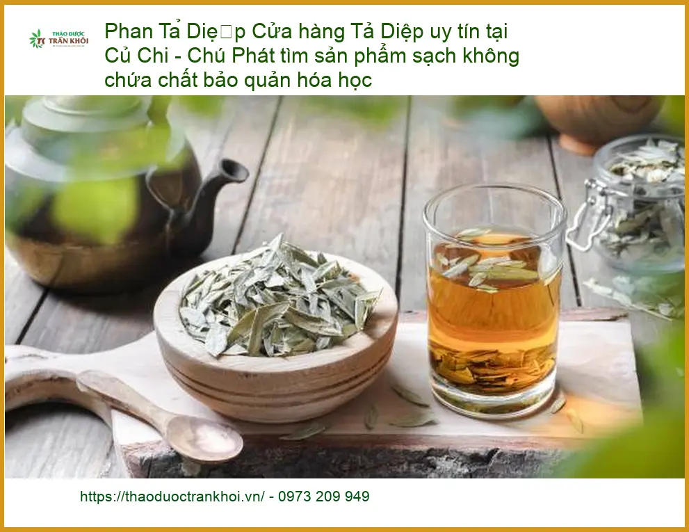 Phan Tả Diệp sạch không hóa chất Củ Chi - Đơn vị Cung cấp Sỉ lẻ Giao nhanh TPHCM
