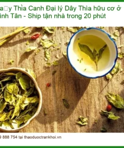 Đại lý Dây Thìa Canh hữu cơ ở Bình Tân - Ship tận nhà trong 20 phút - Địa chỉ bán