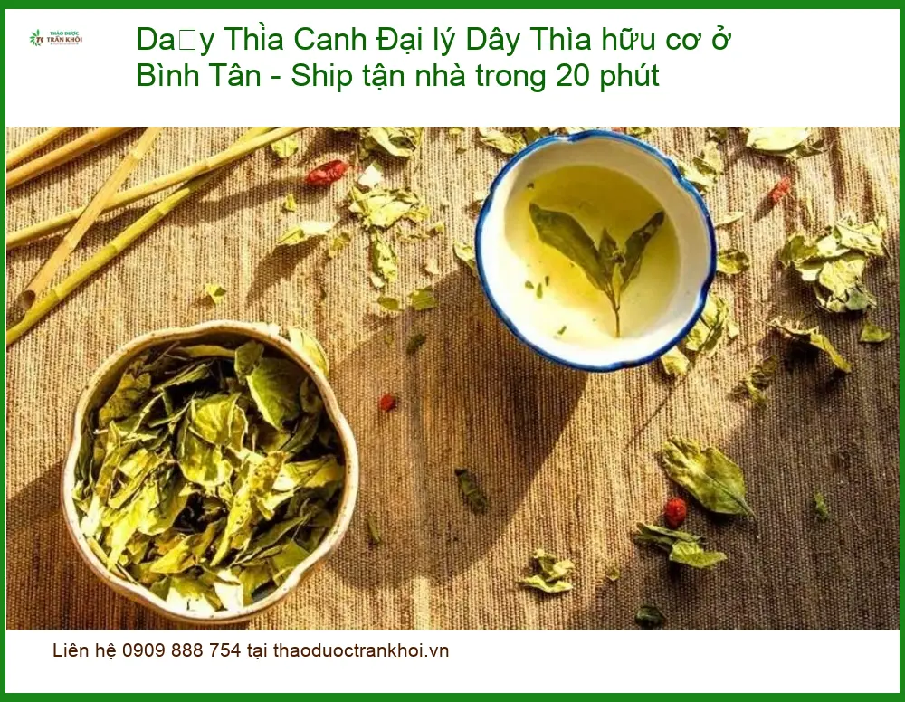 Đại lý Dây Thìa Canh hữu cơ ở Bình Tân - Ship tận nhà trong 20 phút - Địa chỉ bán