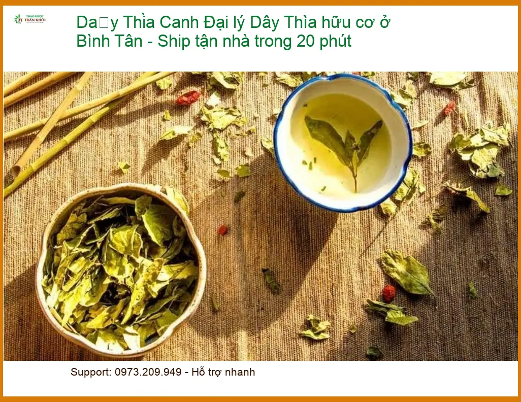 Đại lý Dây Thìa Canh hữu cơ ở Bình Tân - Ship tận nhà trong 20 phút - Giao nhanh