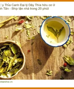 Đại lý Dây Thìa Canh hữu cơ ở Bình Tân - Ship tận nhà trong 20 phút | Sỉ lẻ