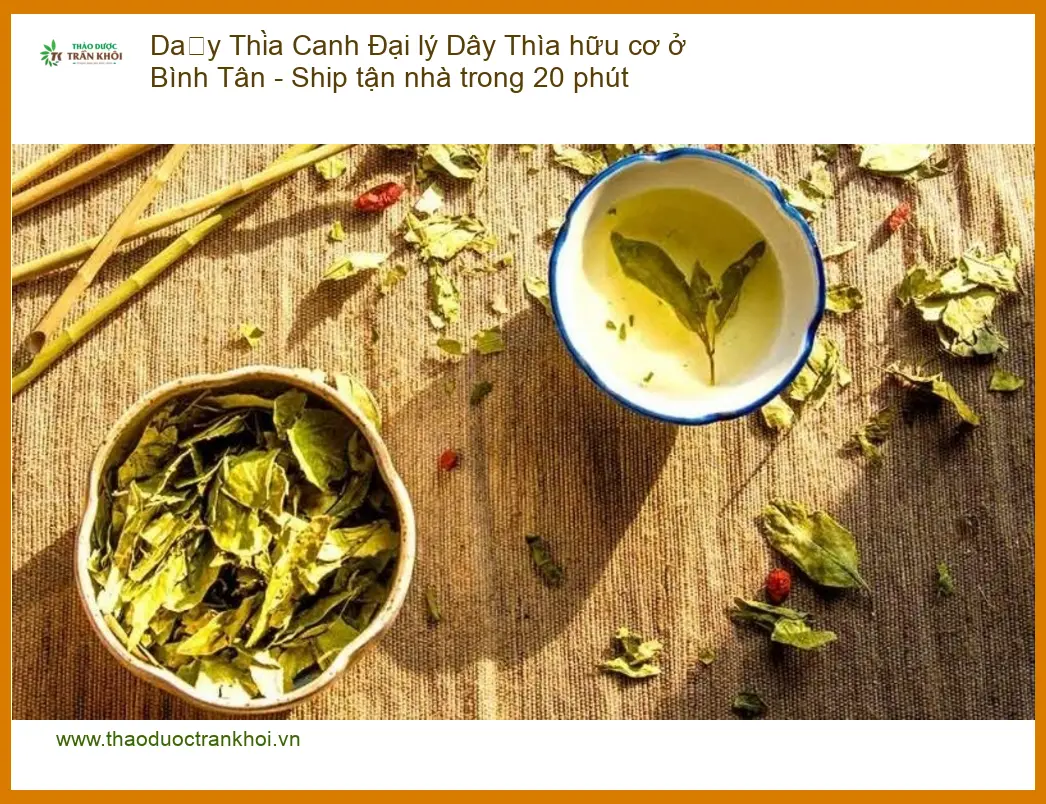 Đại lý Dây Thìa Canh hữu cơ ở Bình Tân - Ship tận nhà trong 20 phút | Sỉ lẻ