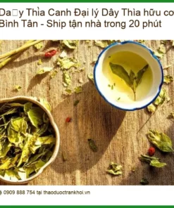 Đại lý Dây Thìa Canh hữu cơ ở Bình Tân - Ship tận nhà trong 20 phút