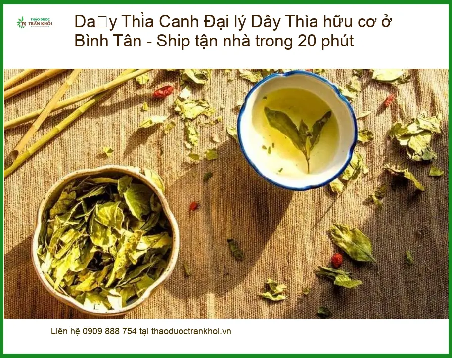 Đại lý Dây Thìa Canh hữu cơ ở Bình Tân - Ship tận nhà trong 20 phút