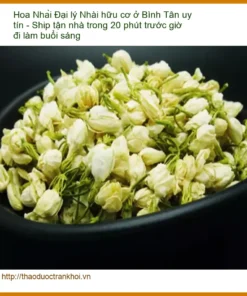 Đại lý Hoa Nhài hữu cơ ở Bình Tân uy tín - Địa chỉ Cung cấp Giao nhanh