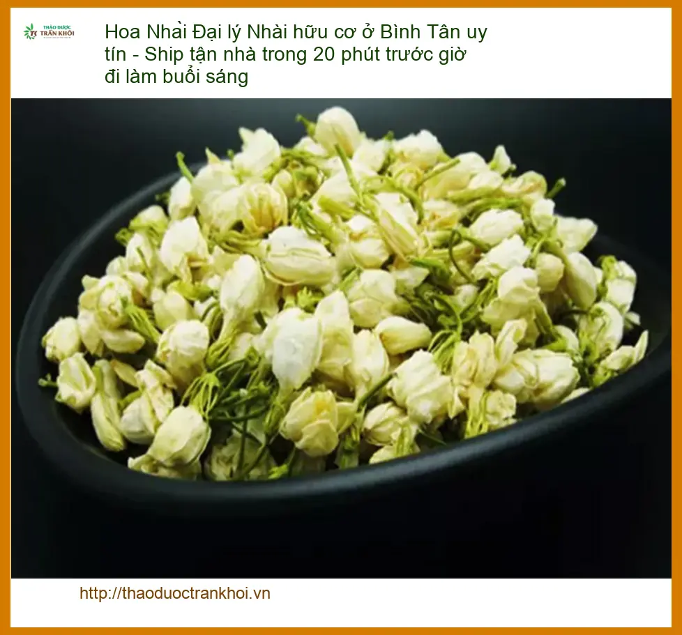 Đại lý Hoa Nhài hữu cơ ở Bình Tân uy tín - Địa chỉ Cung cấp Giao nhanh