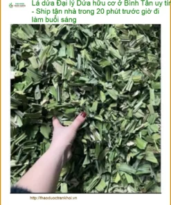 Đại lý Lá Dứa hữu cơ ở Bình Tân uy tín - Đơn vị Cung cấp Giao nhanh