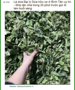 Đại lý Lá Dứa hữu cơ Bình Tân uy tín - Đơn vị Cung cấp Giao nhanh TPHCM