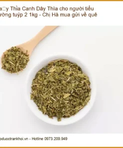 Dây Thìa Canh cho người tiểu đường tuýp 2 1kg - Chị Hà mua gửi về quê