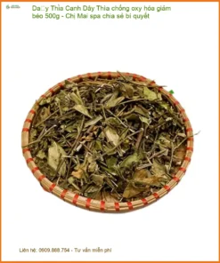 Dây Thìa Canh chống oxy hóa giảm béo 500g - Chị Mai spa chia sẻ bí quyết - TPHCM