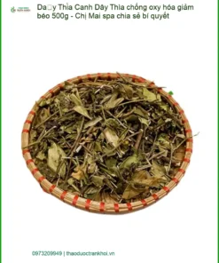 Dây Thìa Canh chống oxy hóa giảm béo 500g - Chị Mai spa chia sẻ bí quyết - SG
