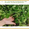 Dây Thìa Canh đóng hộp bán ở đâu Phú Nhuận - Chị Tuyết mua gấp làm quà