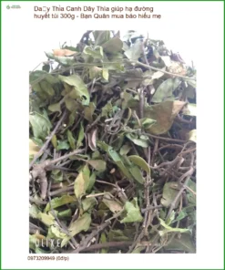 Dây Thìa Canh giúp hạ đường huyết túi 300g - Bạn Quân mua báo hiếu mẹ - TPHCM