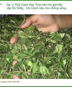 Dây Thìa Canh hãm trà giải độc cấp tốc 500g - Địa chỉ Bán Giao nhanh TPHCM
