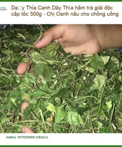 Dây Thìa Canh hãm trà giải độc cấp tốc 500g - Chị Oanh nấu cho chồng - Sỉ lẻ
