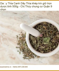Dây Thìa Canh khép kín giữ trọn dược tính 500g - Địa chỉ bán giao nhanh