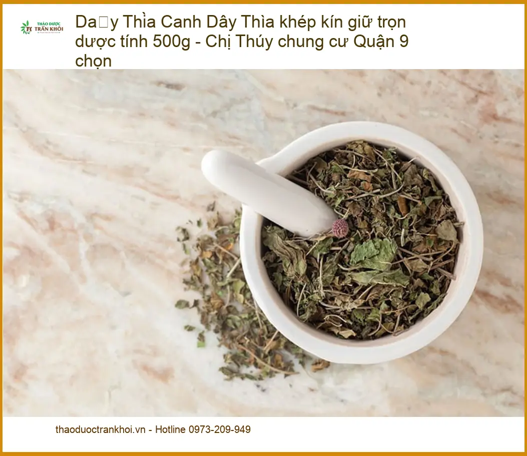 Dây Thìa Canh khép kín giữ trọn dược tính 500g - Địa chỉ bán giao nhanh