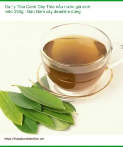 Dây Thìa Canh nấu nước giá sinh viên 250g - Bạn Nam cày deadline dùng - Có sẵn