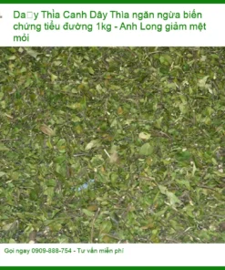 Dây Thìa Canh ngăn ngừa biến chứng tiểu đường 1kg - Anh Long giảm mệt mỏi - Địa chỉ