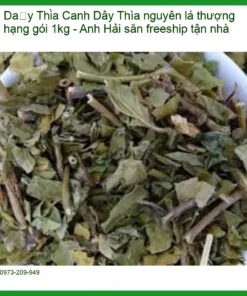 Dây Thìa Canh nguyên lá thượng hạng gói 1kg - Địa chỉ bán giao nhanh TPHCM