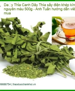 Dây Thìa Canh sấy điện khép kín nguyên màu 500g - Bán có sẵn TPHCM