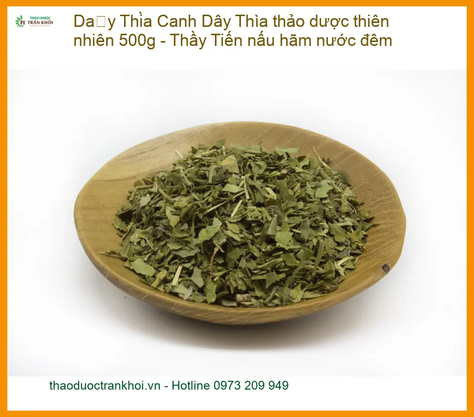 Dây Thìa Canh thảo dược thiên nhiên 500g - Thầy Tiến nấu hãm nước đêm - Sỉ lẻ TPHCM