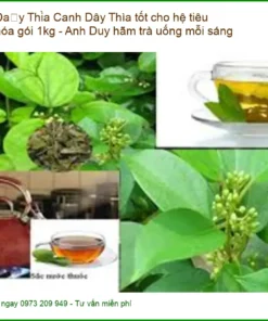 Dây Thìa Canh tốt cho hệ tiêu hóa gói 1kg - Anh Duy hãm trà - Giao nhanh TPHCM