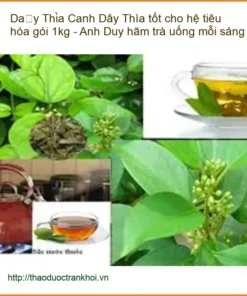 Dây Thìa Canh tốt cho hệ tiêu hóa gói 1kg - Địa chỉ bán sỉ lẻ giao nhanh TPHCM
