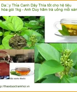 Dây Thìa Canh tốt cho hệ tiêu hóa gói 1kg - Anh Duy hãm trà uống mỗi sáng