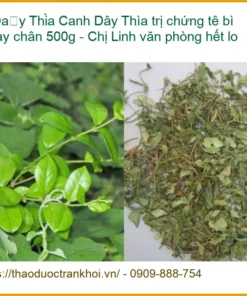 Dây Thìa Canh trị chứng tê bì tay chân 500g - Chị Linh văn phòng hết lo | Có sẵn