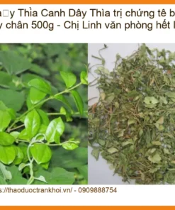 Dây Thìa Canh trị chứng tê bì tay chân 500g - Chị Linh văn phòng hết lo - HCM