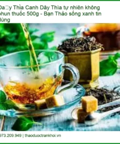 Dây Thìa Canh tự nhiên không phun thuốc 500g - Bạn Thảo sống xanh tin dùng - TPHCM