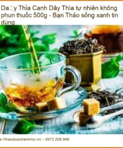 Dây Thìa Canh tự nhiên không phun thuốc 500g - Đơn vị cung cấp có sẵn TPHCM