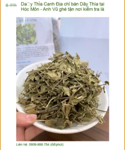 Địa chỉ bán Dây Thìa Canh tại Hóc Môn - Anh Vũ ghé tận nơi kiểm tra lá