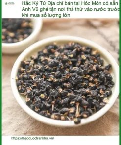 Địa chỉ bán Hắc Kỷ Tử tại Hóc Môn có sẵn - Giao hàng tận nơi TPHCM