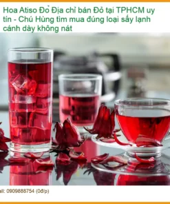 Hoa Atiso Đỏ sấy lạnh cánh dày không nát TPHCM - Địa chỉ Cung cấp Giao nhanh