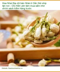 Địa chỉ bán Hoa Nhài ở Cần Giờ ship tận nơi - Giao nhanh TPHCM, kiểm hàng an tâm