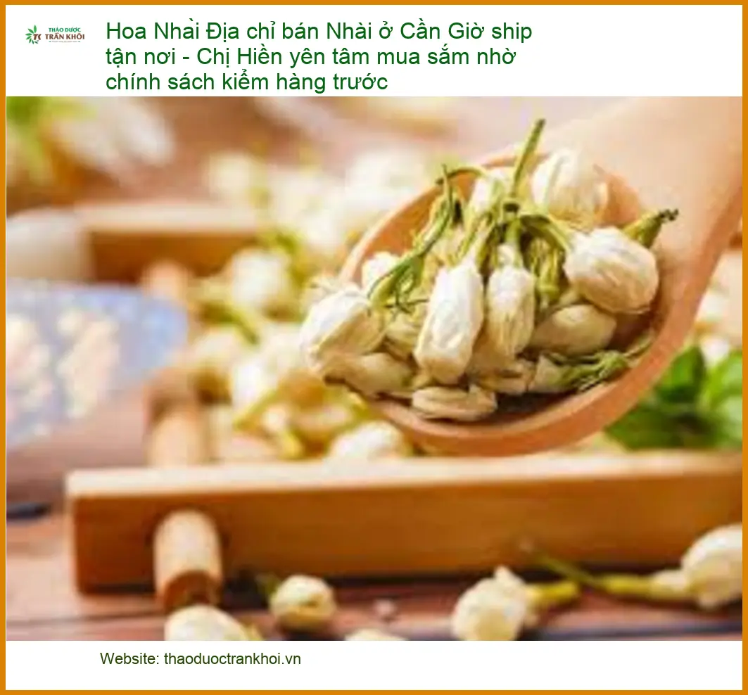 Địa chỉ bán Hoa Nhài ở Cần Giờ ship tận nơi - Giao nhanh TPHCM, kiểm hàng an tâm