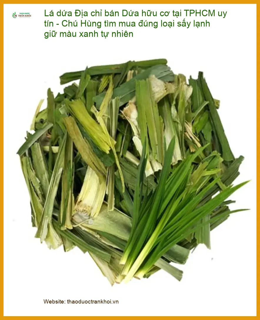Địa chỉ bán Lá Dứa hữu cơ sấy lạnh tại TPHCM - Giao nhanh