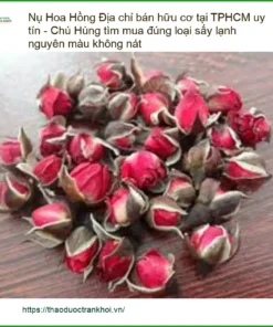 Nụ Hoa Hồng hữu cơ sấy lạnh nguyên màu - Đơn vị Cung cấp Sỉ lẻ TPHCM