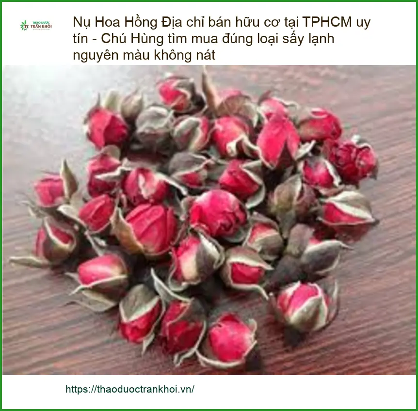 Nụ Hoa Hồng hữu cơ sấy lạnh nguyên màu - Đơn vị Cung cấp Sỉ lẻ TPHCM