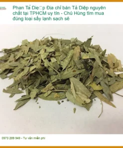 Phan Tả Diệp nguyên chất tại TPHCM uy tín - Địa chỉ Bán Giao nhanh