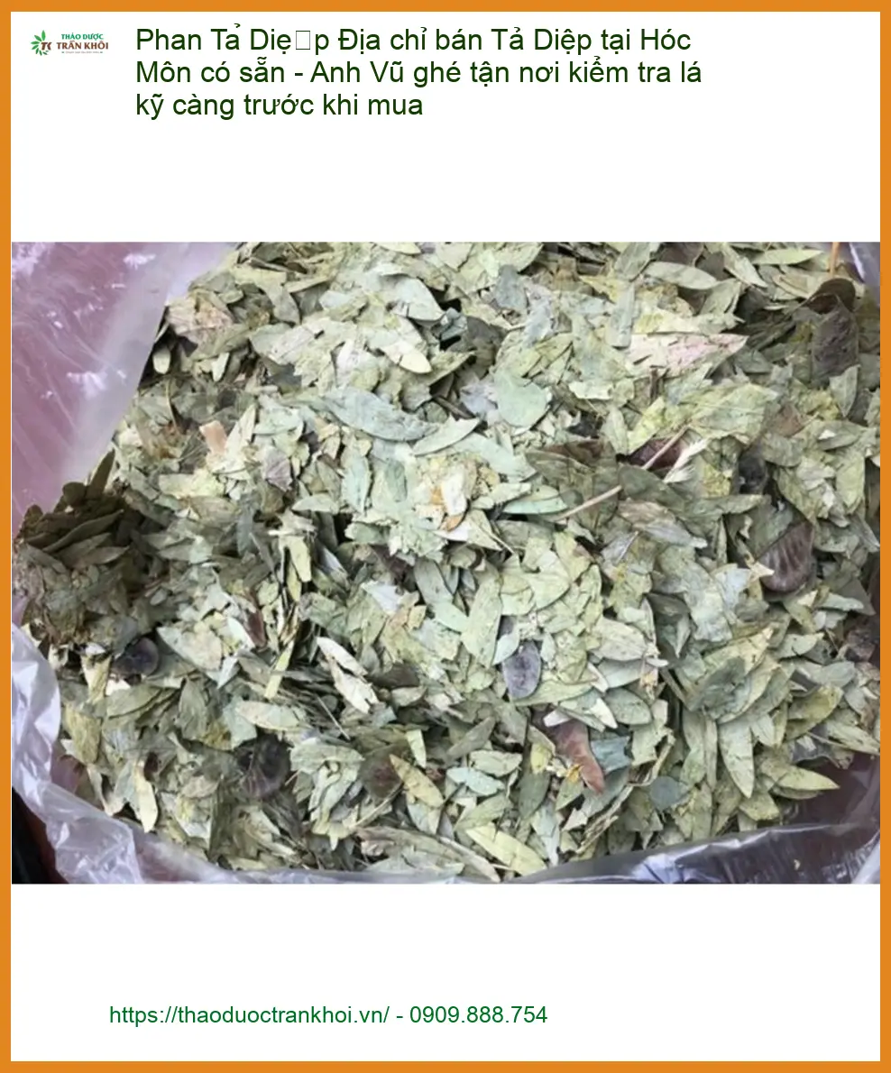 Phan Tả Diệp Hóc Môn - Đơn vị Cung cấp Sỉ Lẻ, Giao Nhanh Tận Nơi