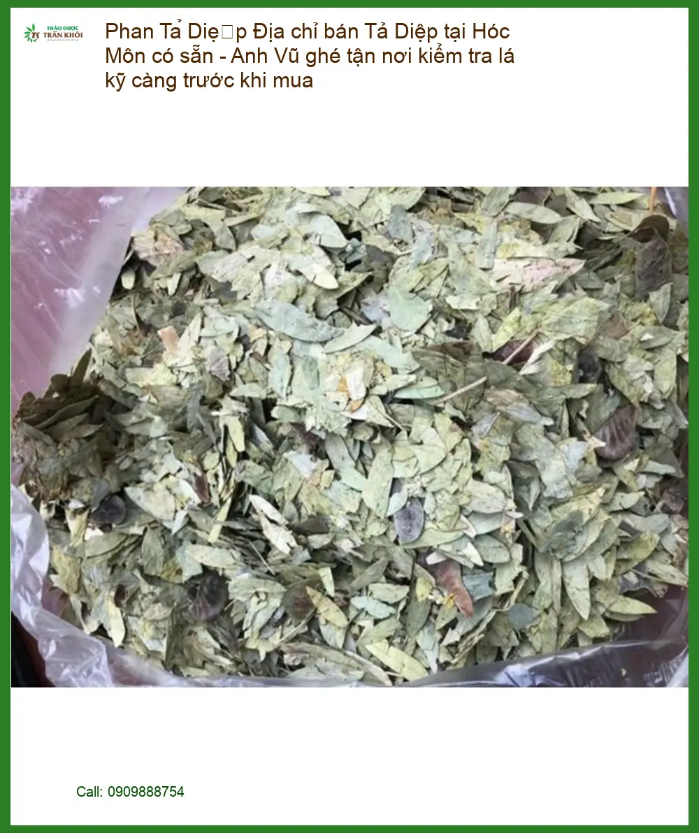 Phan Tả Diệp Hóc Môn có sẵn, Anh Vũ kiểm tra - Địa chỉ Bán Giao nhanh TPHCM