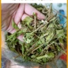 Địa điểm bán Dây Thìa Canh ở Gò Vấp - Chị Hạnh tránh hàng ẩm mốc