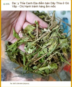Địa điểm bán Dây Thìa Canh ở Gò Vấp - Chị Hạnh tránh hàng ẩm mốc