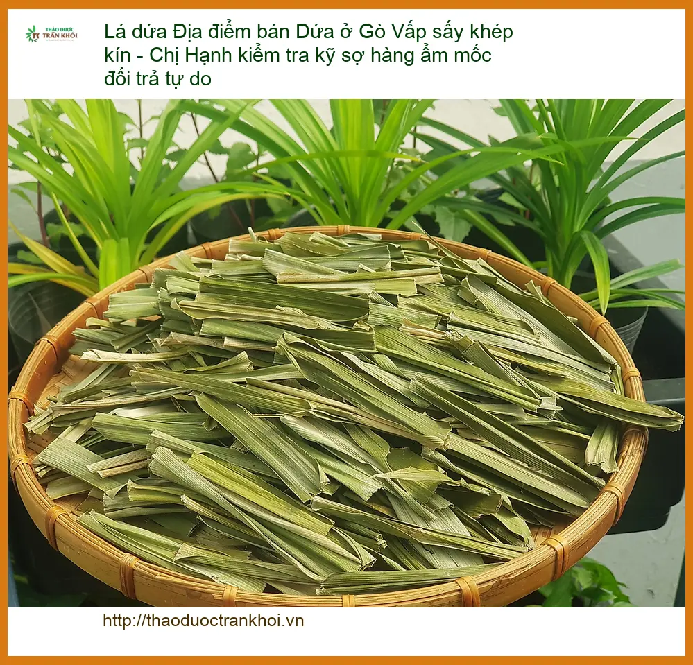 Lá Dứa sấy khép kín Gò Vấp Chị Hạnh - Đơn vị Cung cấp Sỉ lẻ Giao nhanh TPHCM